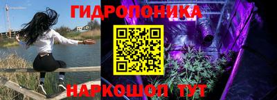 ГАЛЛЮЦИНОГЕННЫЕ ГРИБЫ Нарткала
