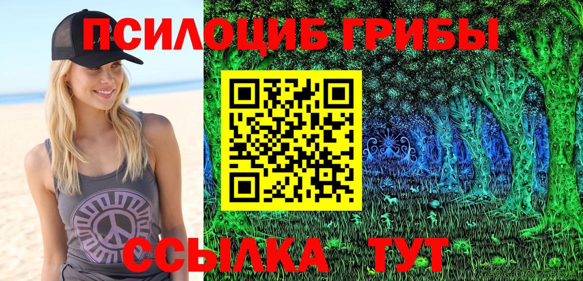 Галлюциногенные грибы Psilocybe  Вход с VPN  Геленджик 