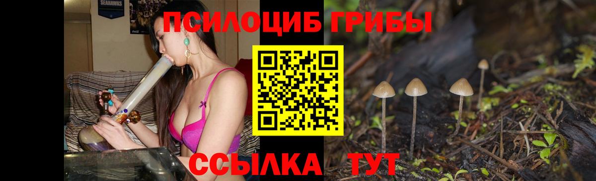 Галлюциногенные грибы GOLDEN TEACHER Геленджик